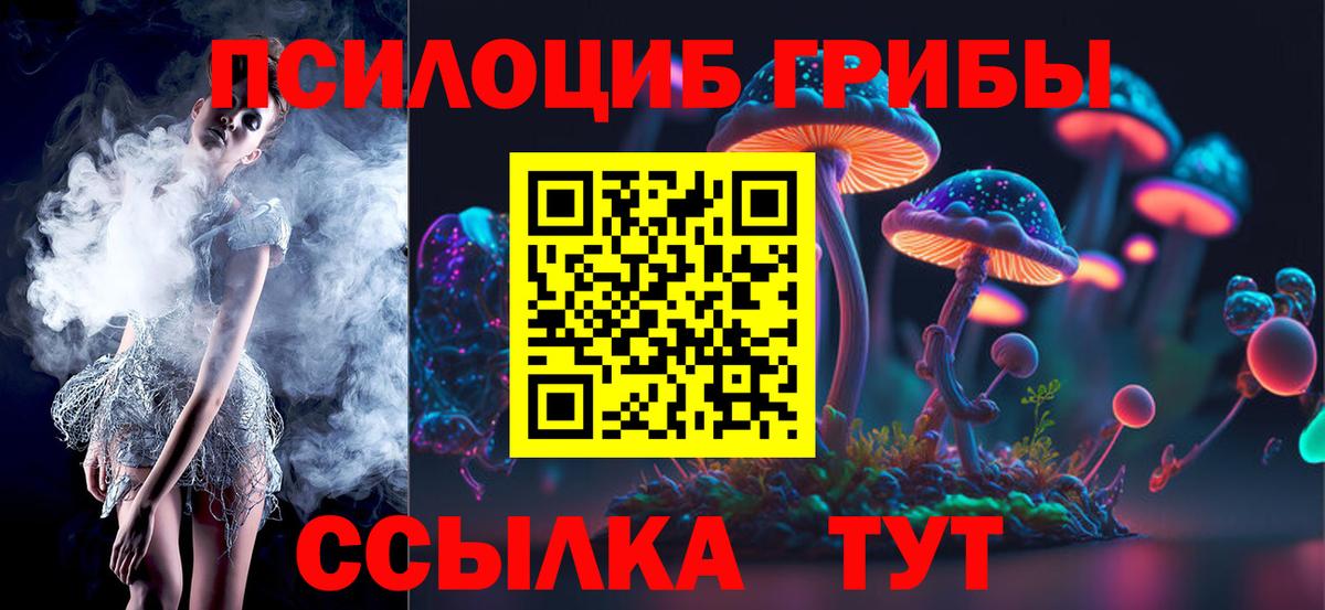 Галлюциногенные грибы прущие грибы  Вход с VPN  Сызрань  Галлюциногенные грибы Psilocybine cubensis 