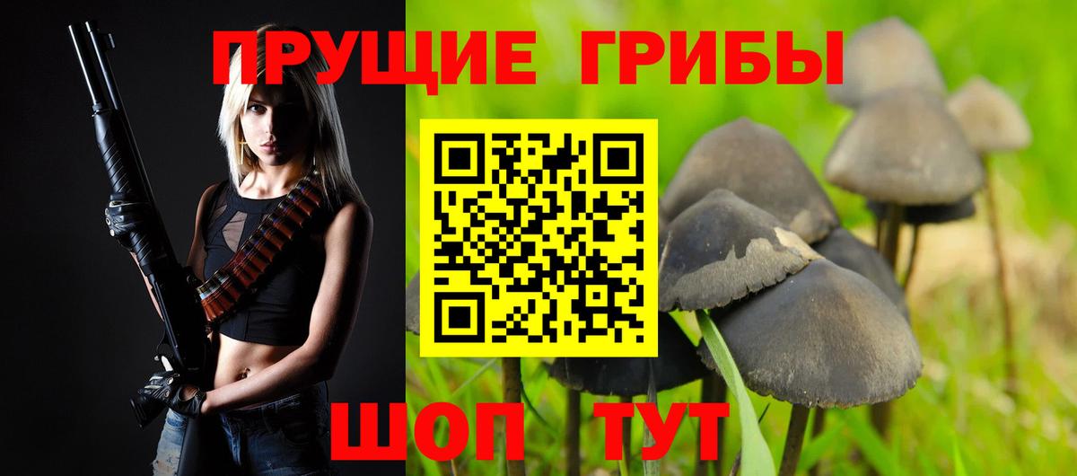 Псилоцибиновые грибы Psilocybe Сызрань